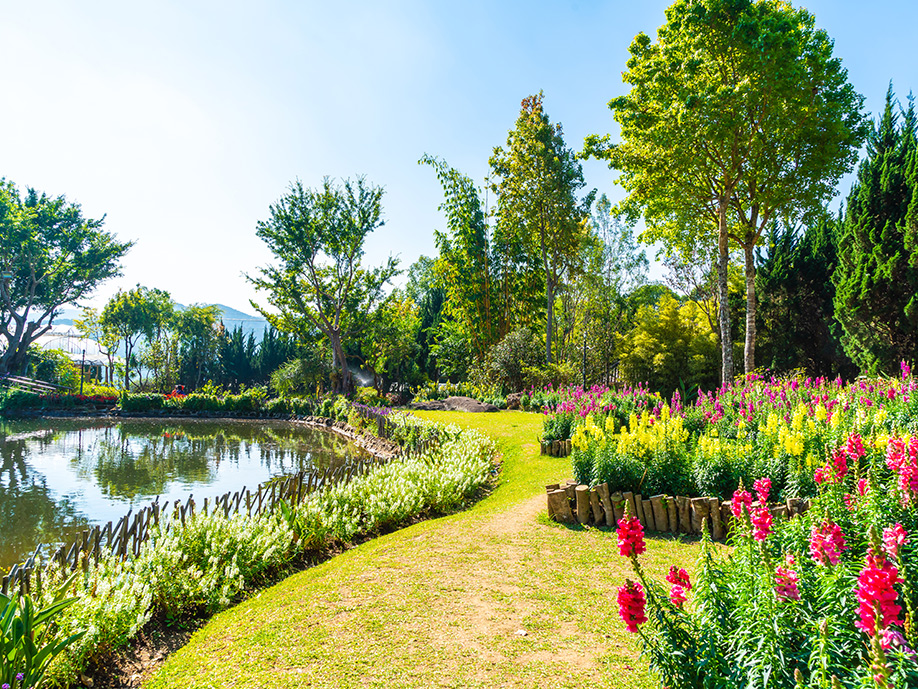 Floriade i Holland 2022 Oplev verdensudstillingen for havebrug