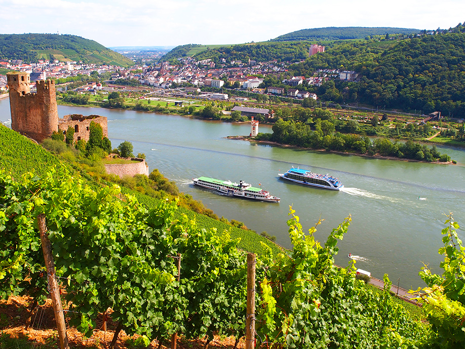 Rhinen, Rüdesheim - Gislev Rejser